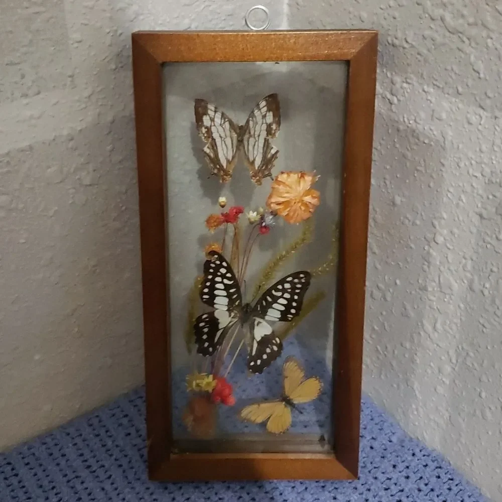 Stunning Butterfly & Dried Flowers Mounted In Shadow Box Framed Wall Art